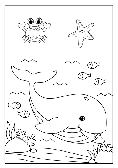 BASH Coloring Book